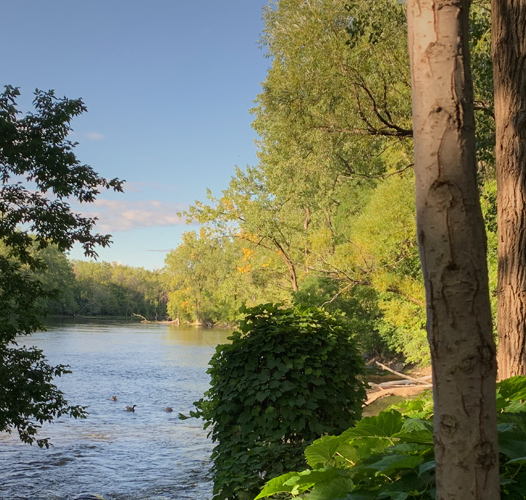 Rivière des Prairies à quelques pas de Gest sur Gouin